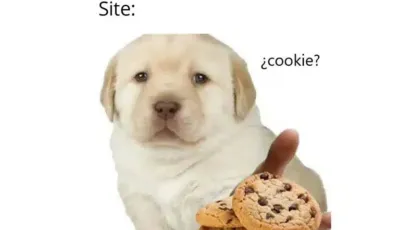 cookies